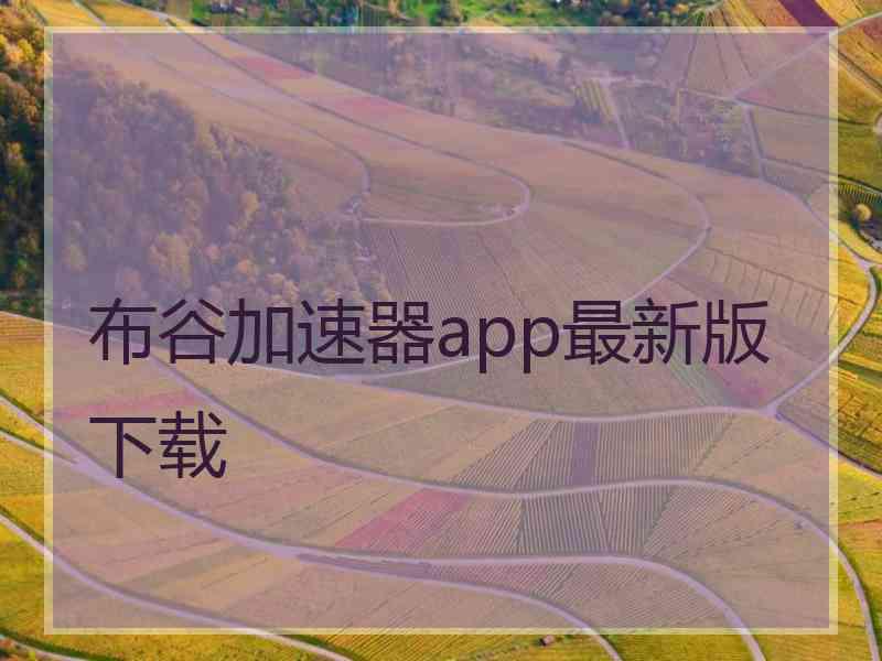 布谷加速器app最新版下载