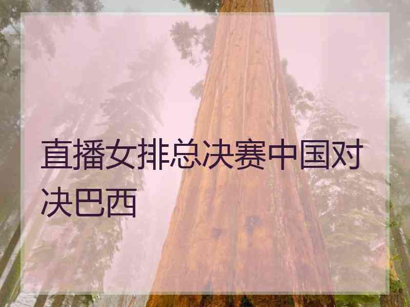 直播女排总决赛中国对决巴西