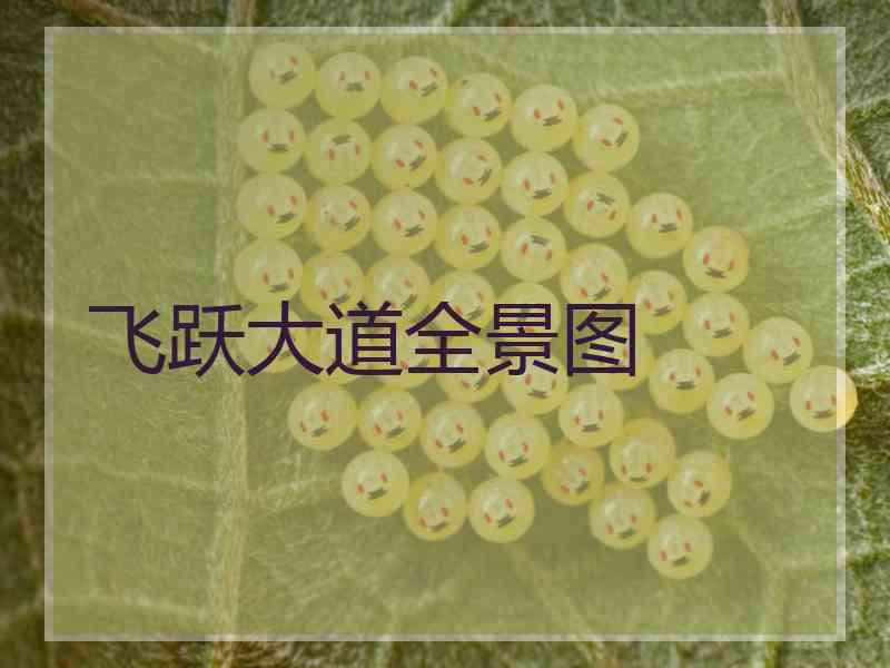 飞跃大道全景图