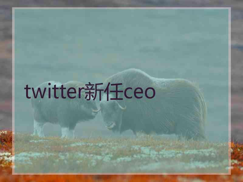 twitter新任ceo