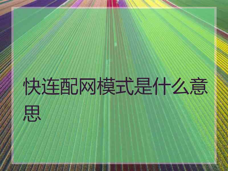 快连配网模式是什么意思