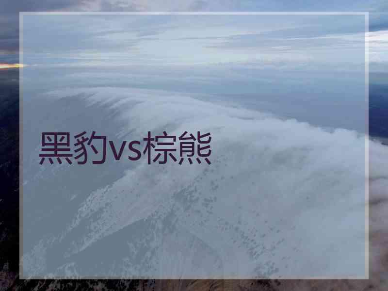 黑豹vs棕熊