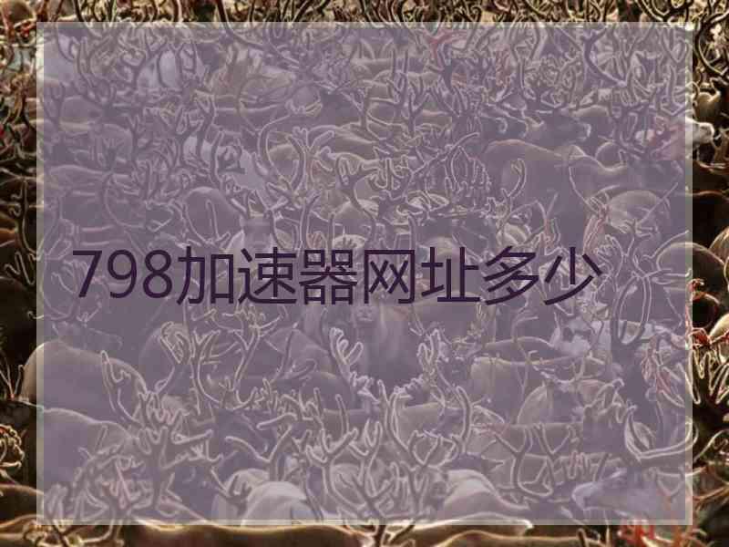 798加速器网址多少
