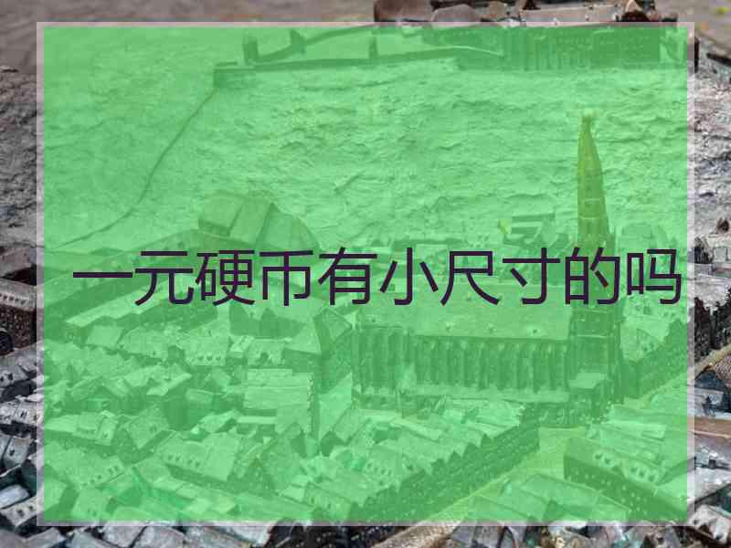 一元硬币有小尺寸的吗