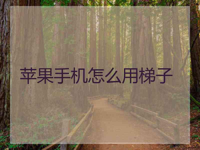 苹果手机怎么用梯子