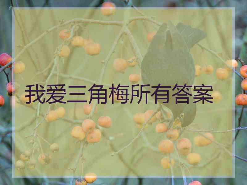 我爱三角梅所有答案