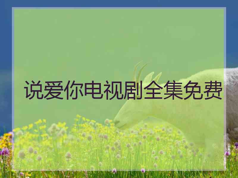 说爱你电视剧全集免费