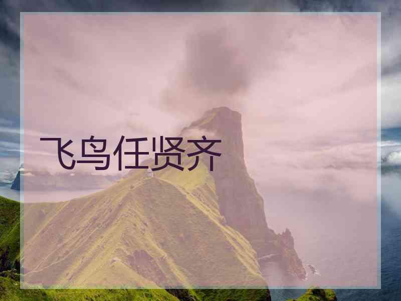 飞鸟任贤齐