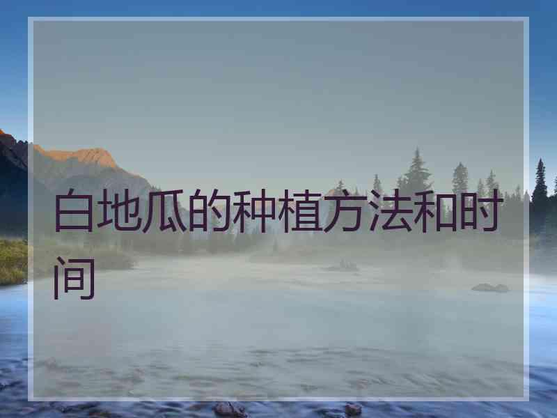 白地瓜的种植方法和时间