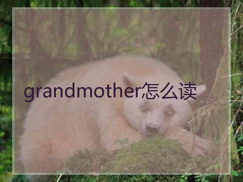 grandmother怎么读