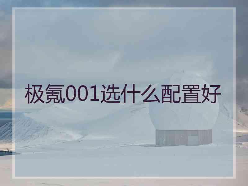 极氪001选什么配置好