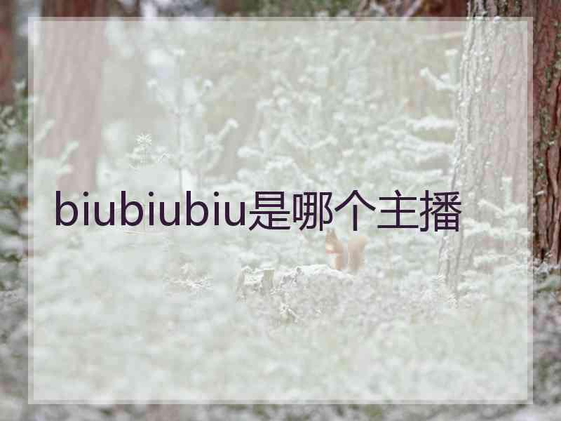 biubiubiu是哪个主播