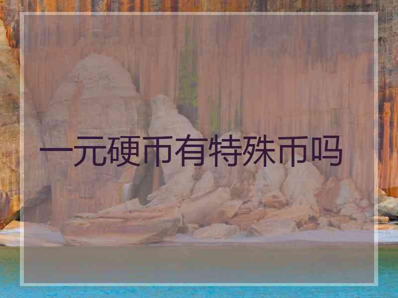 一元硬币有特殊币吗
