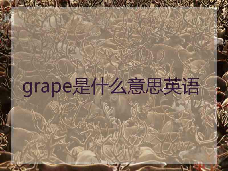 grape是什么意思英语