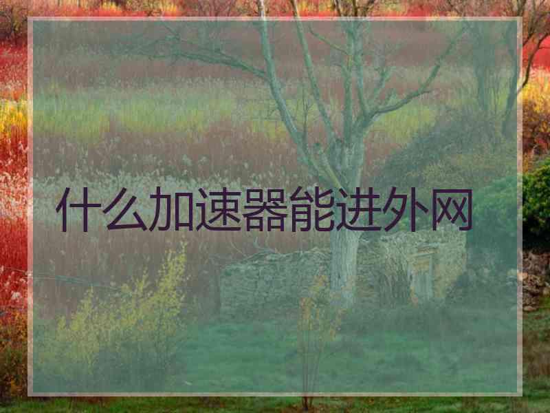 什么加速器能进外网