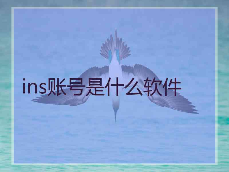 ins账号是什么软件
