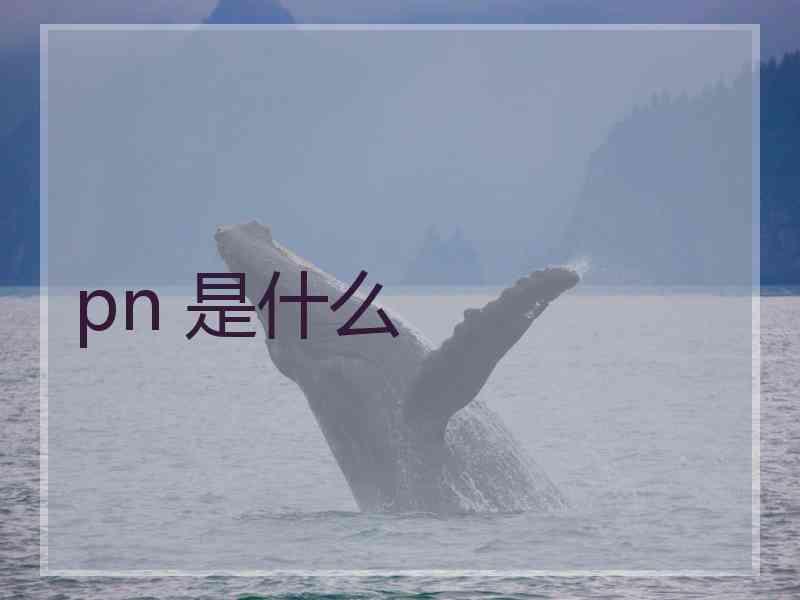 pn 是什么
