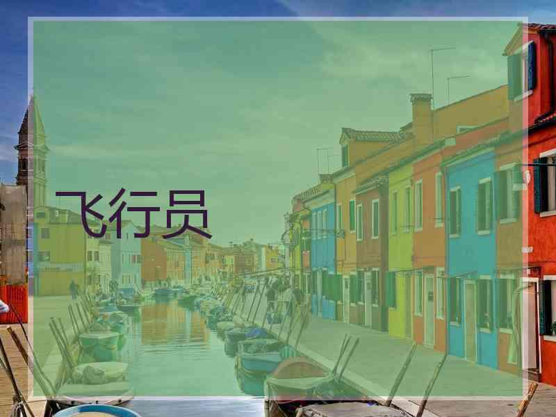 飞行员