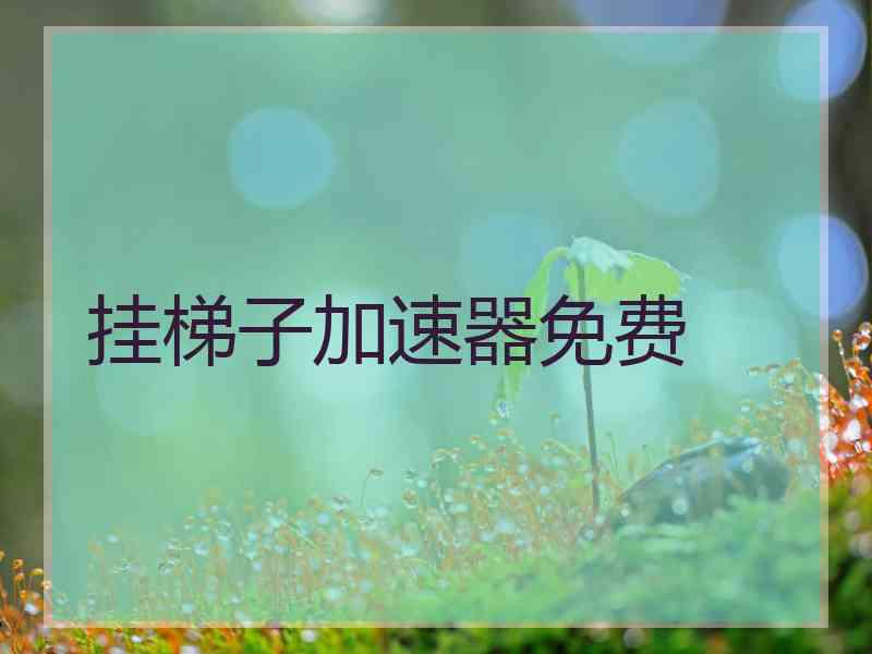 挂梯子加速器免费