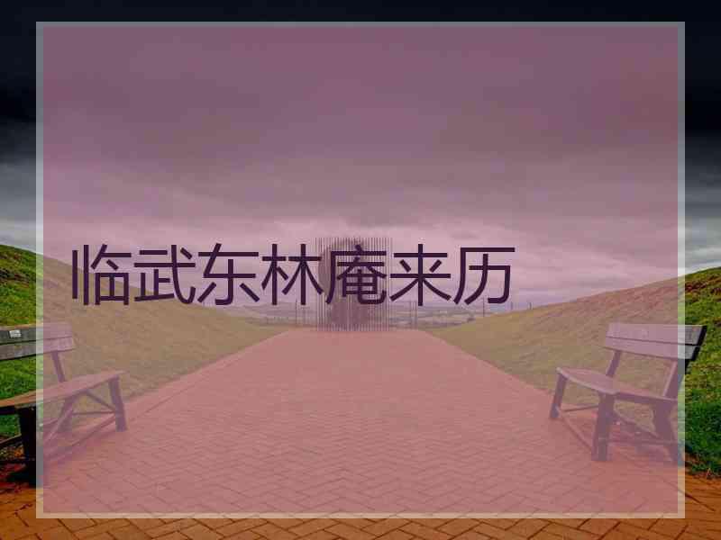 临武东林庵来历