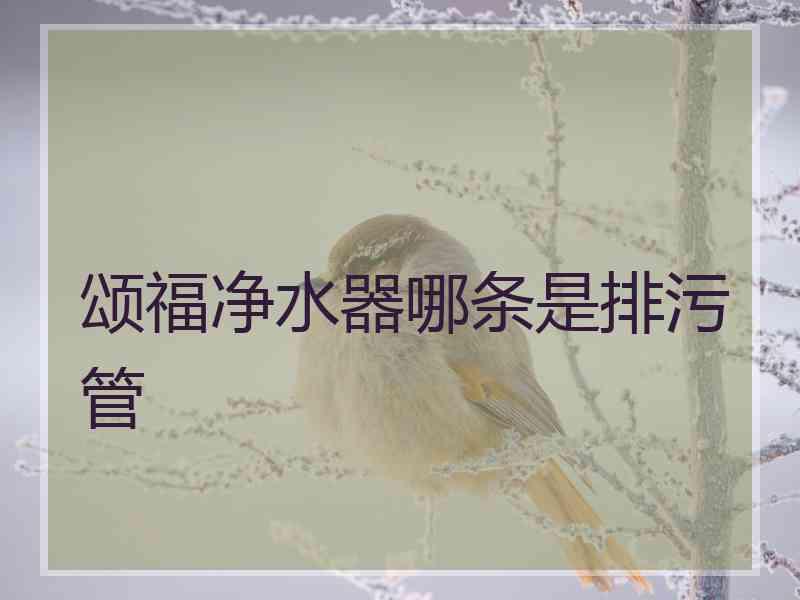 颂福净水器哪条是排污管