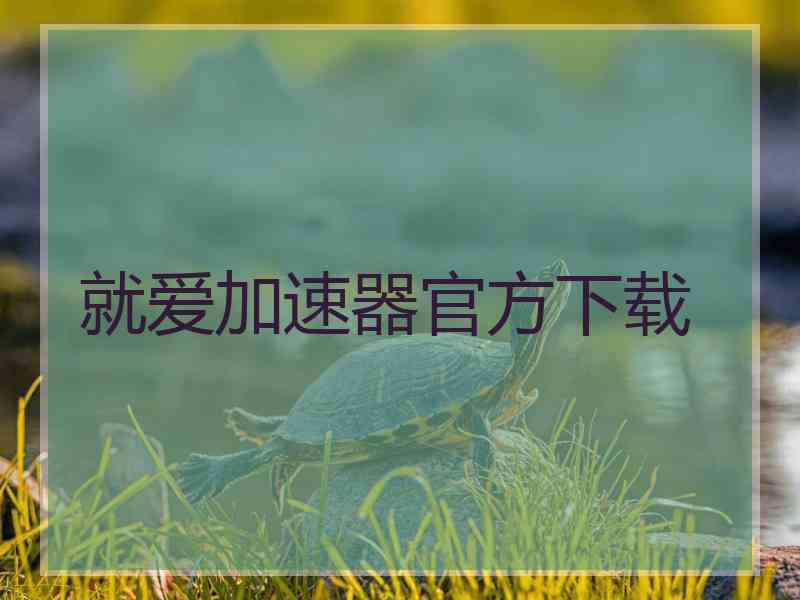 就爱加速器官方下载