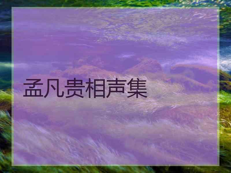 孟凡贵相声集