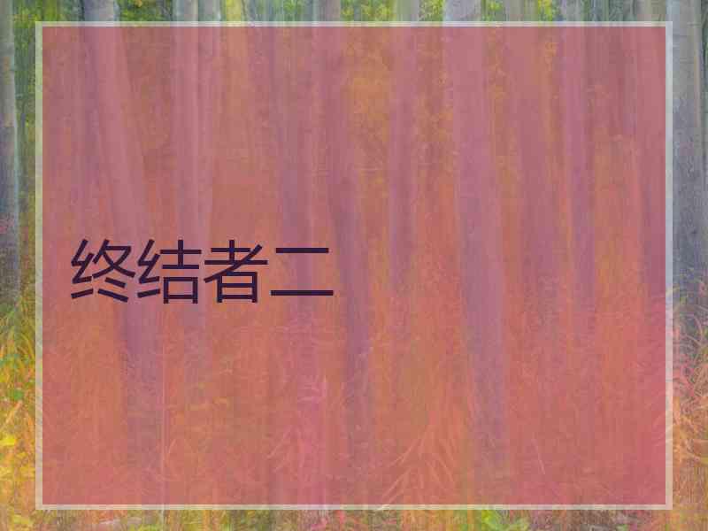 终结者二