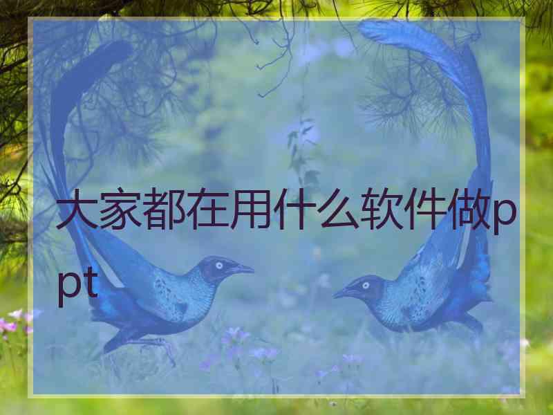 大家都在用什么软件做ppt