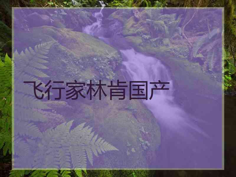 飞行家林肯国产