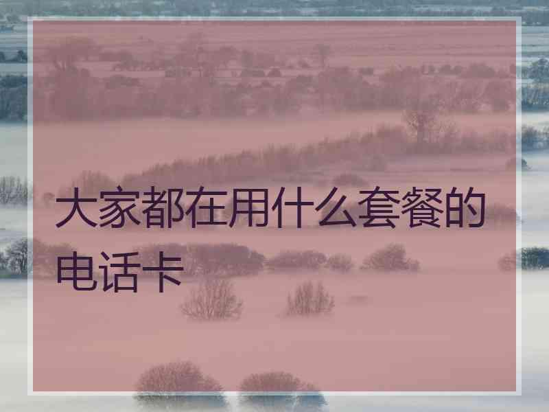 大家都在用什么套餐的电话卡