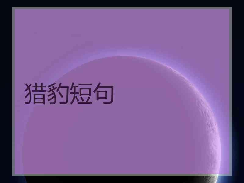 猎豹短句