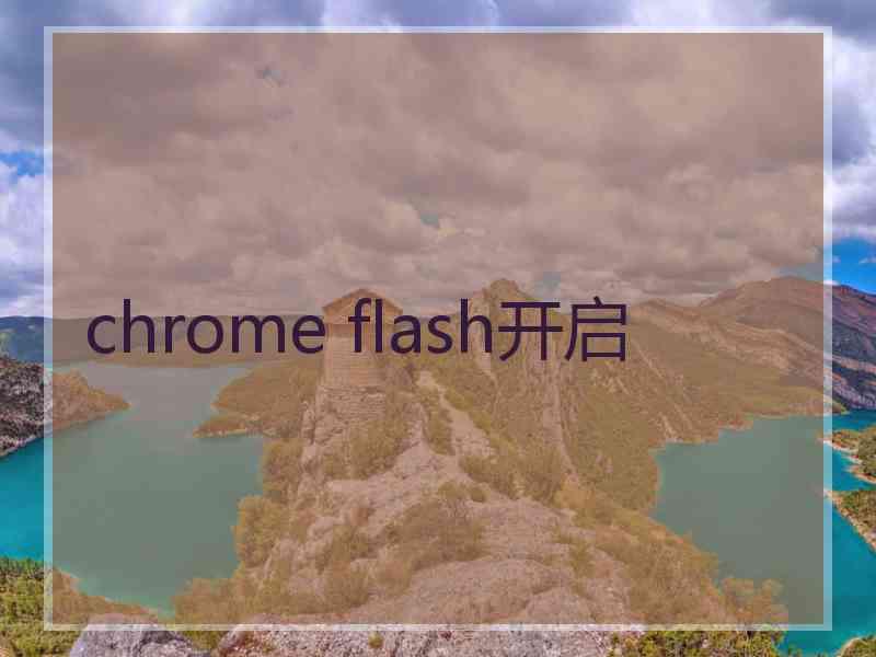 chrome flash开启