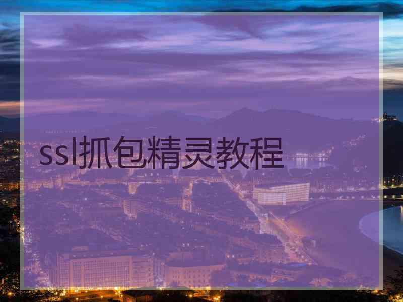 ssl抓包精灵教程