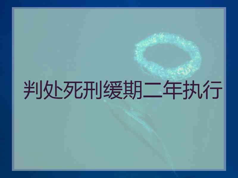 判处死刑缓期二年执行