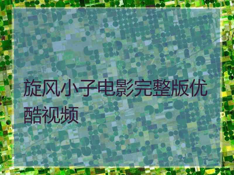 旋风小子电影完整版优酷视频