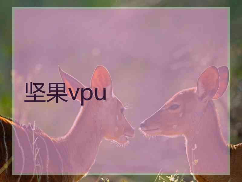 坚果vpu
