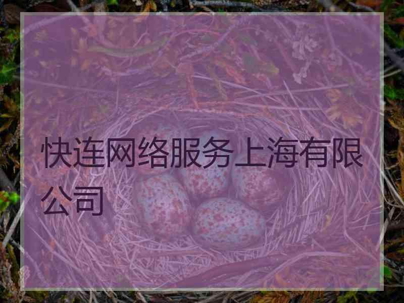 快连网络服务上海有限公司