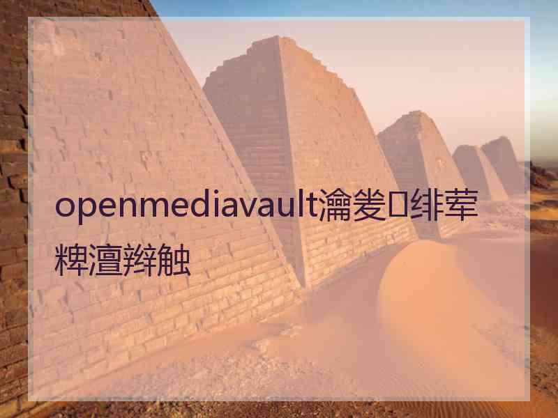 openmediavault瀹夎绯荤粺澶辫触