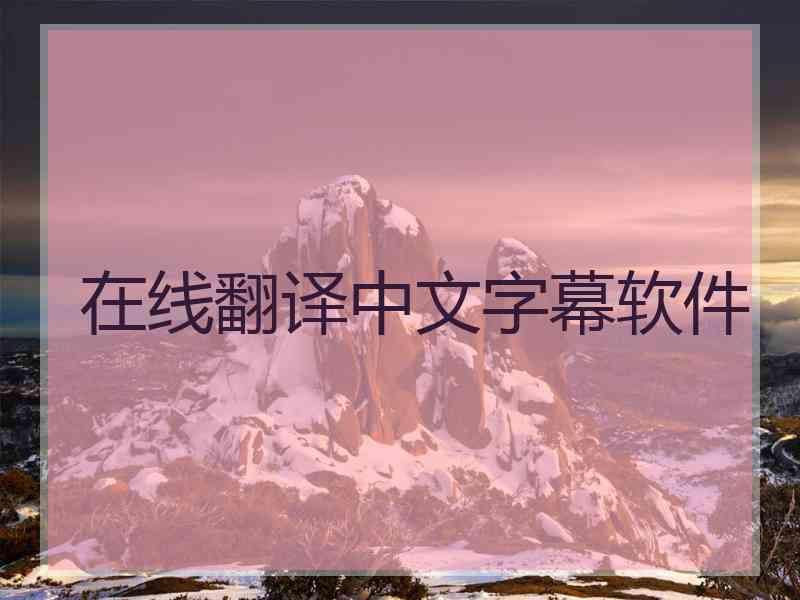 在线翻译中文字幕软件