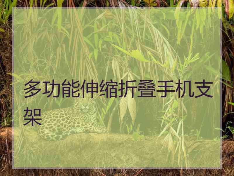 多功能伸缩折叠手机支架