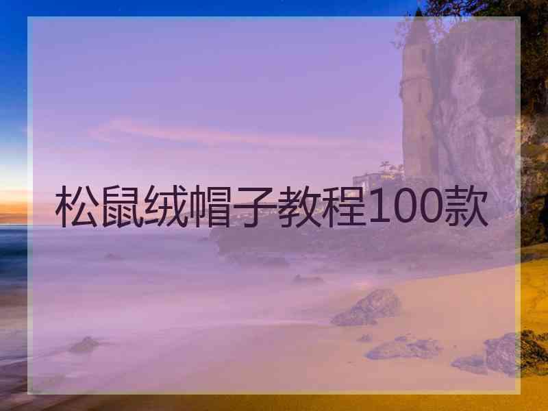 松鼠绒帽子教程100款