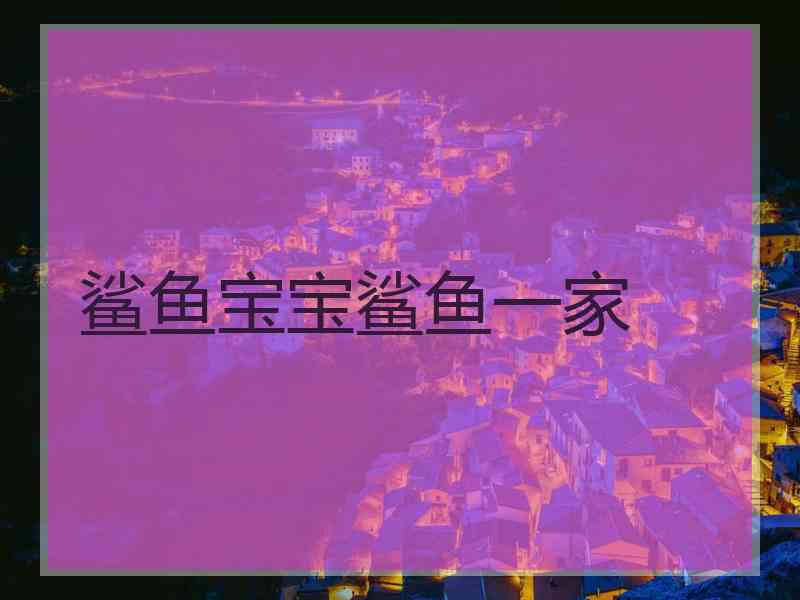 鲨鱼宝宝鲨鱼一家