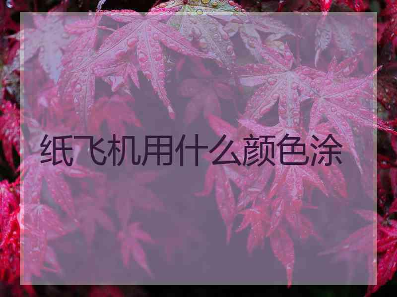 纸飞机用什么颜色涂