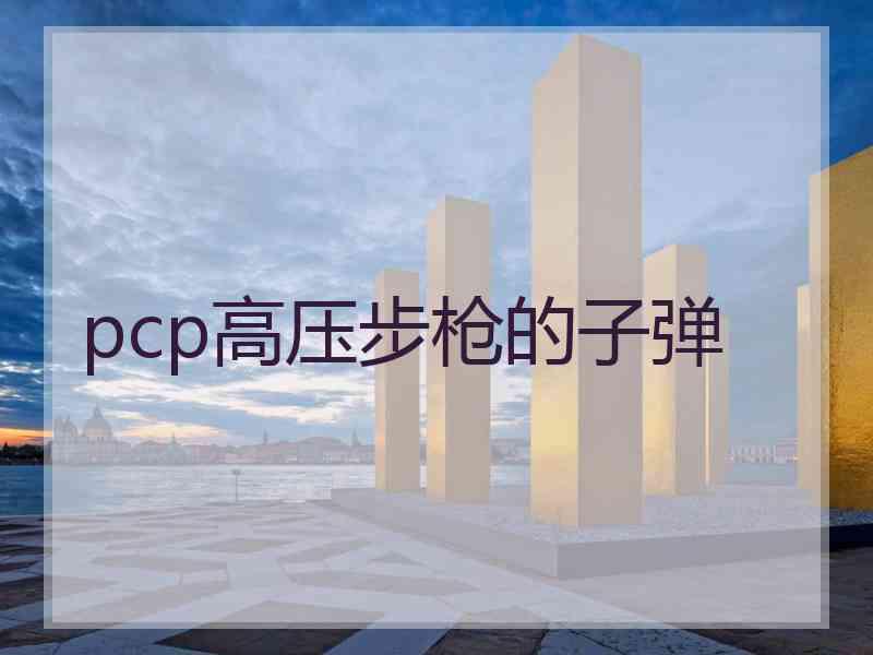 pcp高压步枪的子弹