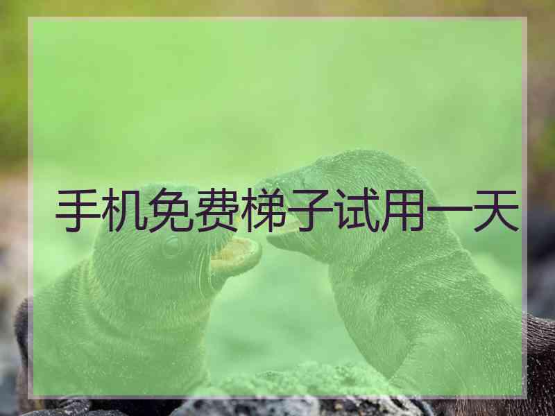 手机免费梯子试用一天