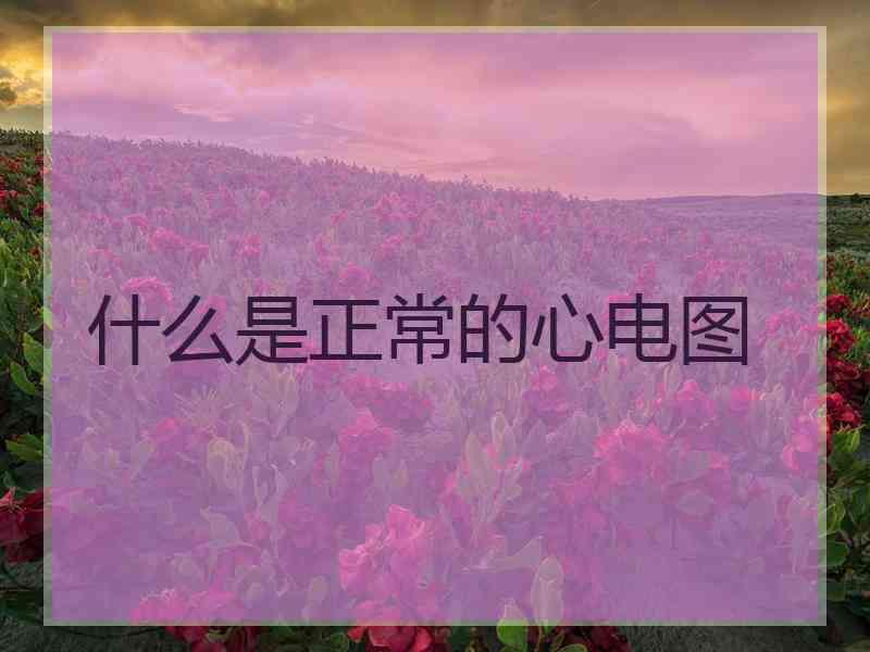 什么是正常的心电图