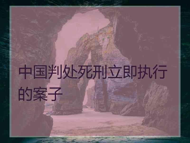 中国判处死刑立即执行的案子