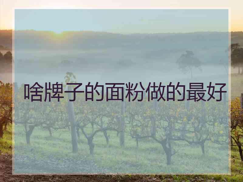 啥牌子的面粉做的最好