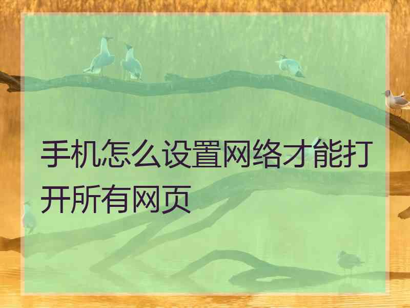 手机怎么设置网络才能打开所有网页